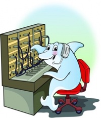 Dolphin at the switchboard